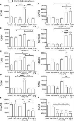 Polarization of Human Monocyte-Derived Cells With Vitamin D Promotes Control of Mycobacterium tuberculosis Infection